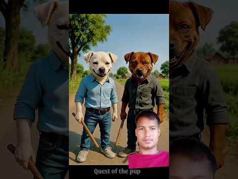 Tergoda Funny Cat Video Cute Catshorts Trending Shorts November 24 2025