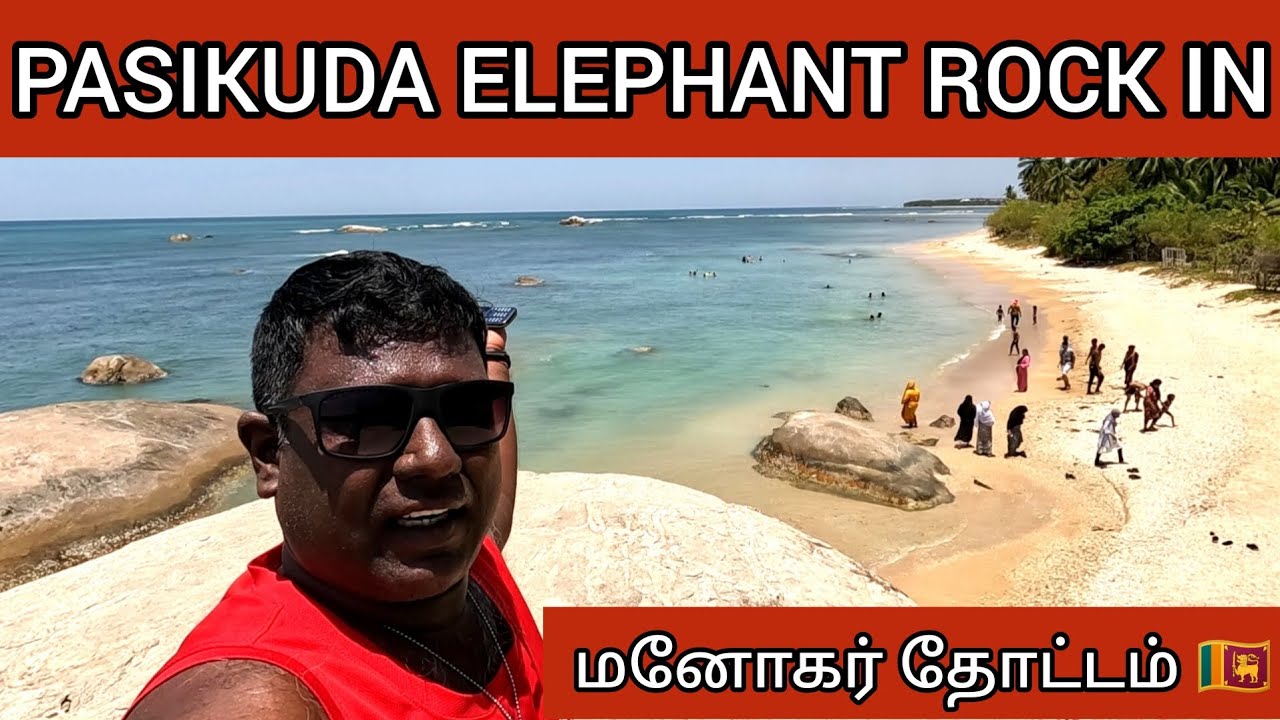 பாசிக்குடா Elephant Rock in மனோகர் தோட்டம் | தென்னம் சோலைக்குள் ஒரு கடற்கரை | PaadumMeen TamilVlog