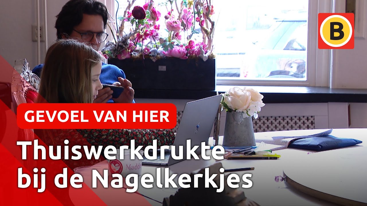 Thuiswerken met 8 kinderen: deze familie doet het | Omroep Brabant