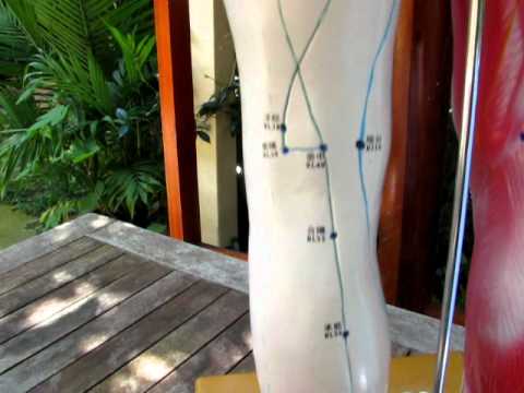 dumby pressure points learn kyusho jitsu combat youtube kyusho jitsu chart