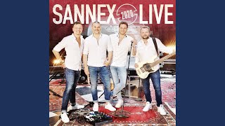 Video thumbnail of "Sannex - Pretty Little Adriana (Live)"