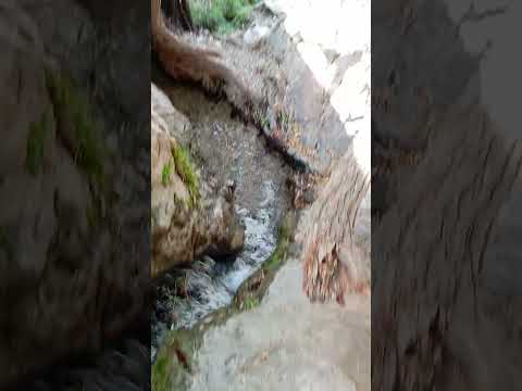 چشمه دوقلو استان فارس قصر غلات سیدان جایی که پادشاهان هخامنشی زندگی میکردند