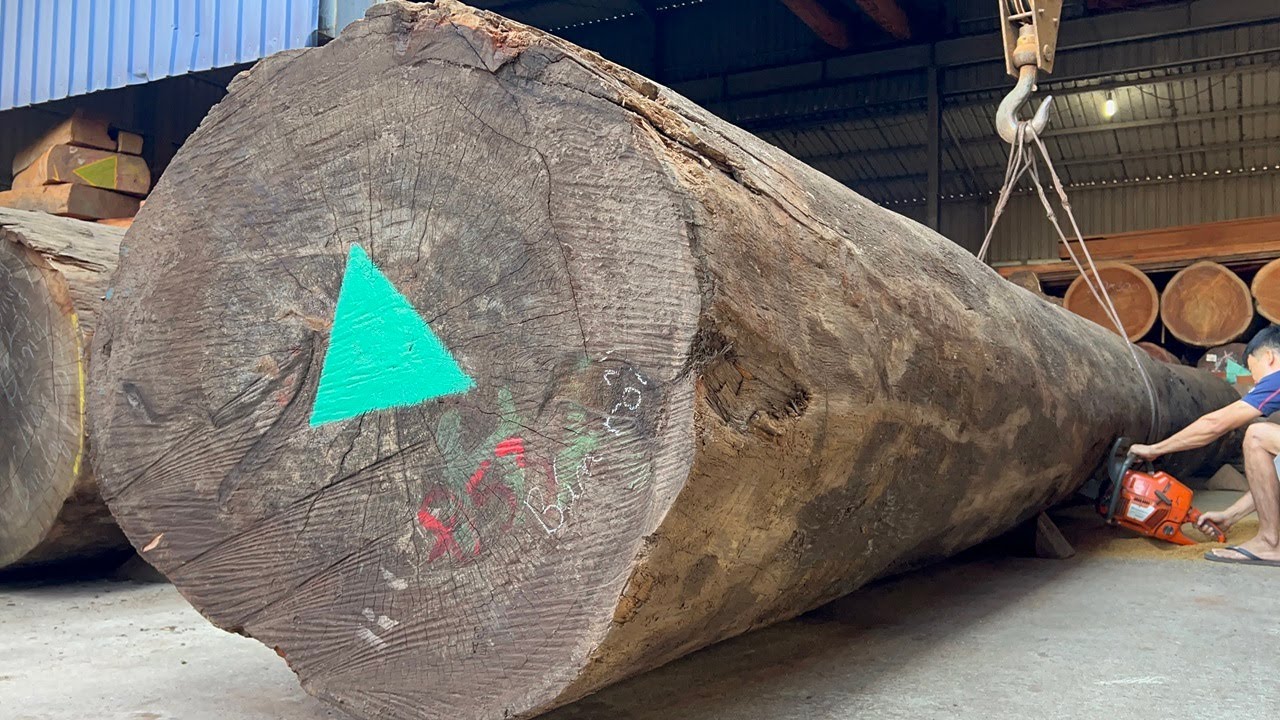 The Process Of Producing Raw Wood Giant Ironwood | Amazing Woodworking ...