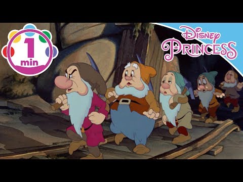 Disney Princess -
