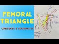 Femoral Triangle Anatomy (in Hindi) | Contents & Boundaries | Lower Limb