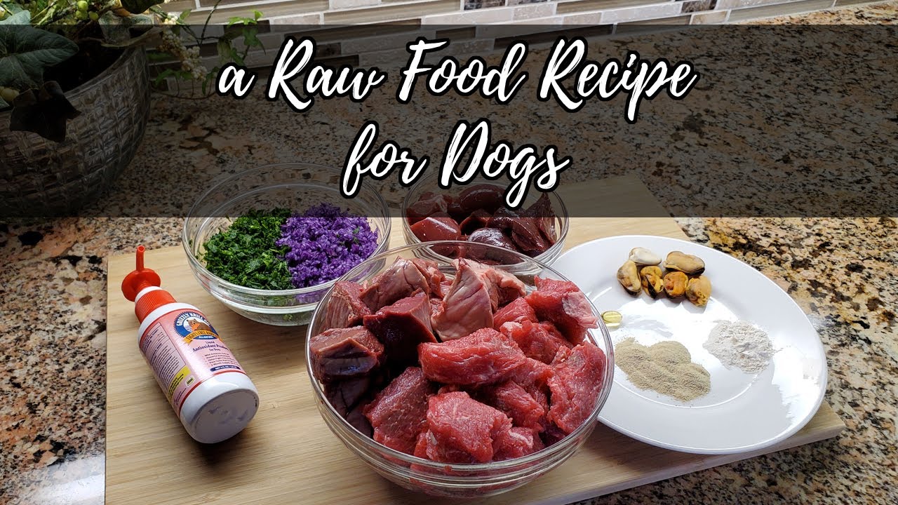 Black Bear Meat Recipe, Natural Dog Food Recipe