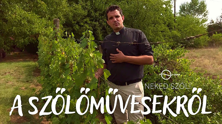 A SZŐLŐMŰVESEKRŐL - Neked szól!