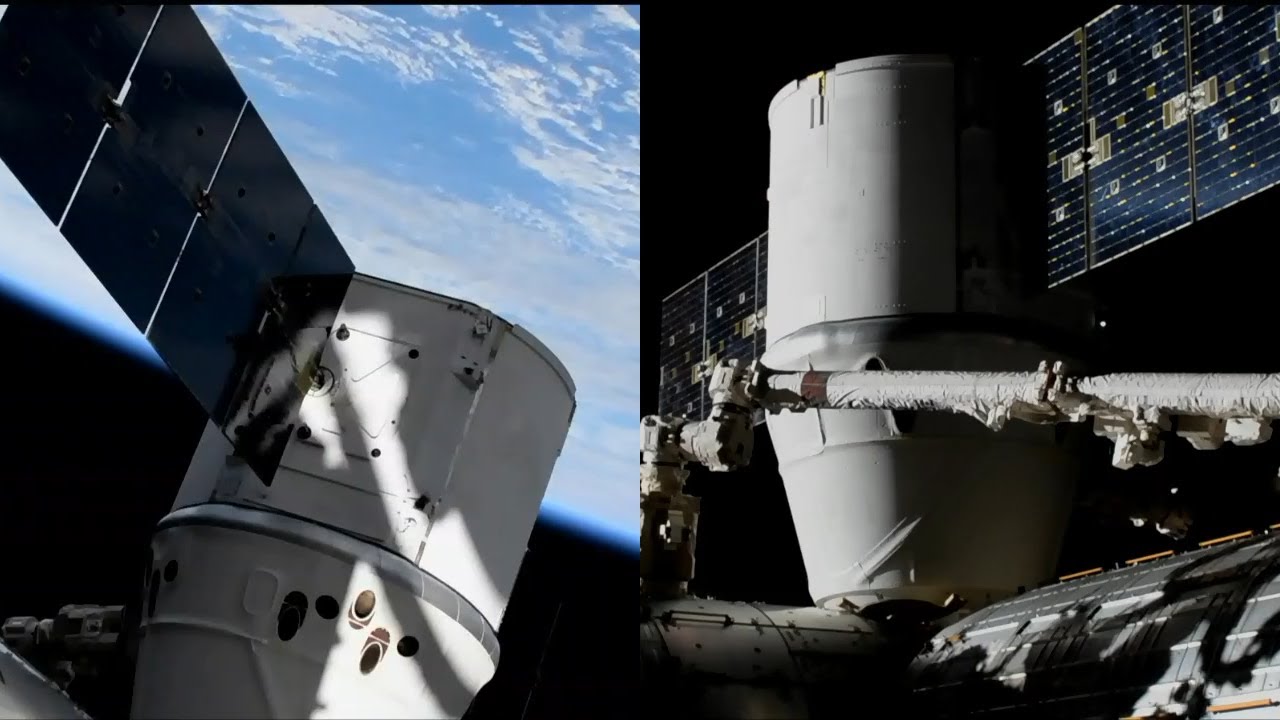 SpaceX CRS-19 Dragon berthing