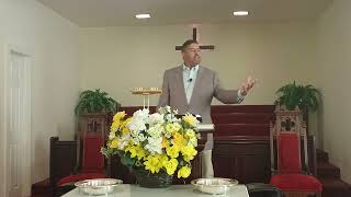 The Vine & the Branches (Part 1)