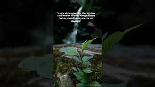 Dedi Kibir Tek Allaha Yük Olmazsın Şu Kâinatta. Sığındığın Her Kapıda Vefasızlığa Mahkûmsun