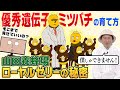 【ローヤルゼリーもナメてません②】国内生産量第１位の更なる秘密！山田養蜂場が20年かけて作り上げた最強の遺伝子を持つミツバチとは。