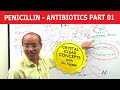 Penicillin - Antibiotics - Part 1/4