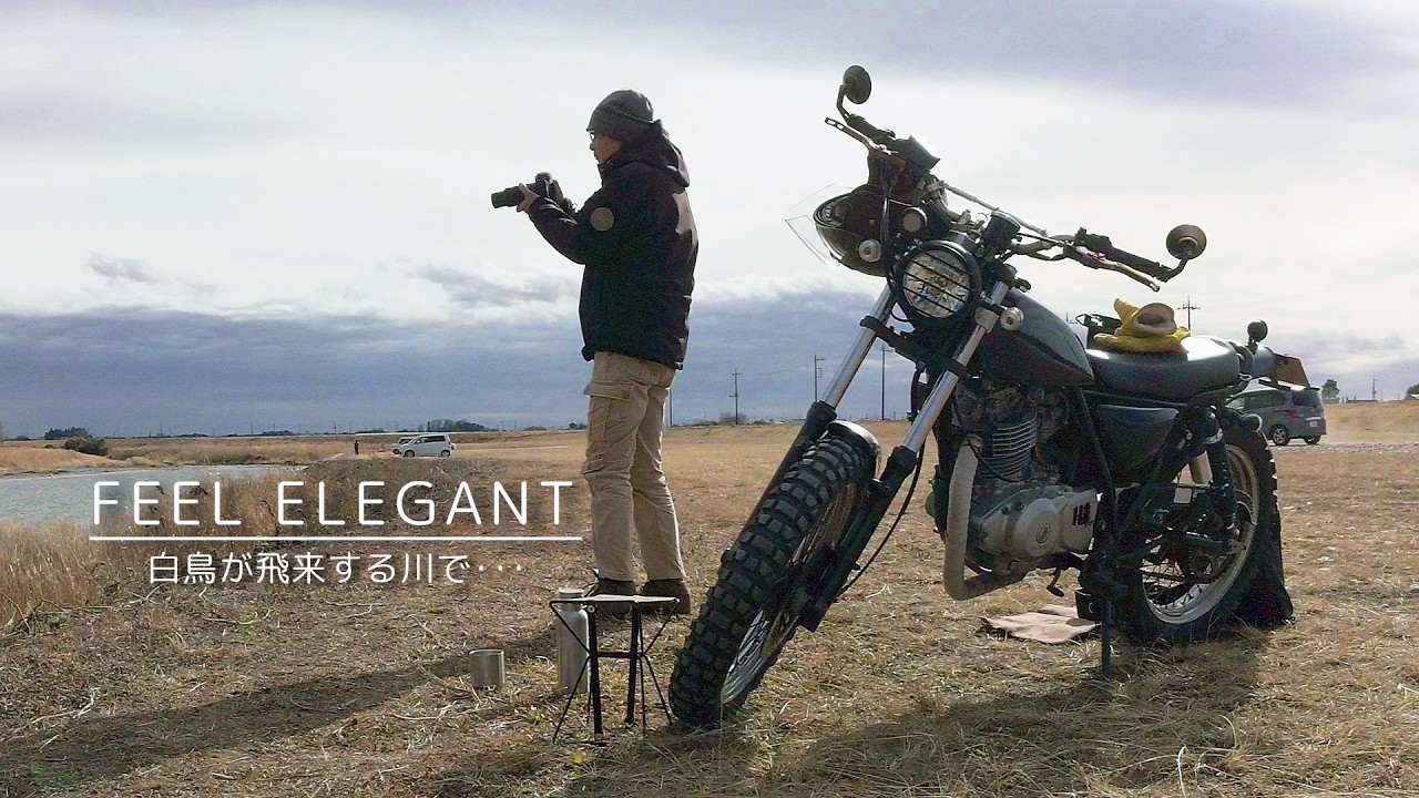 チェアリングで優雅な気持ちになれた日【グラストラッカー 】｜サイレントVlog　／ Watching the Swans Makes Me Feel Elegant.