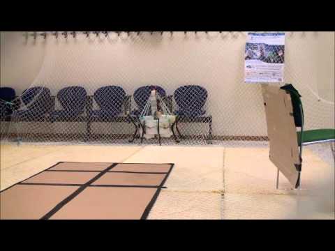 AIRobots IW1: Interaction with the Environment Experiment