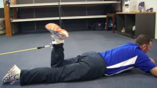 Southern Cricket Essential Exercise Program - Hamstring Curls screenshot 5