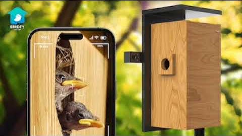 Birdfy Nest: A Dual-Camera Smart Bird House