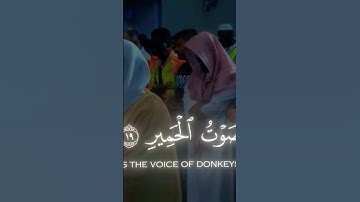 سورة لقمان #سبحان_الله_وبحمده #لا_اله_الا_الله #المصحف #الرحمن #arabicmusic #لايك #اكسبلور