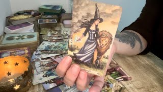 KOZOROH  ČERVEN 2024  Práce, Láska #tarot #výkladkaret