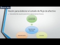 Conferencia Virtual "Estado de Flujos de Efectivo"