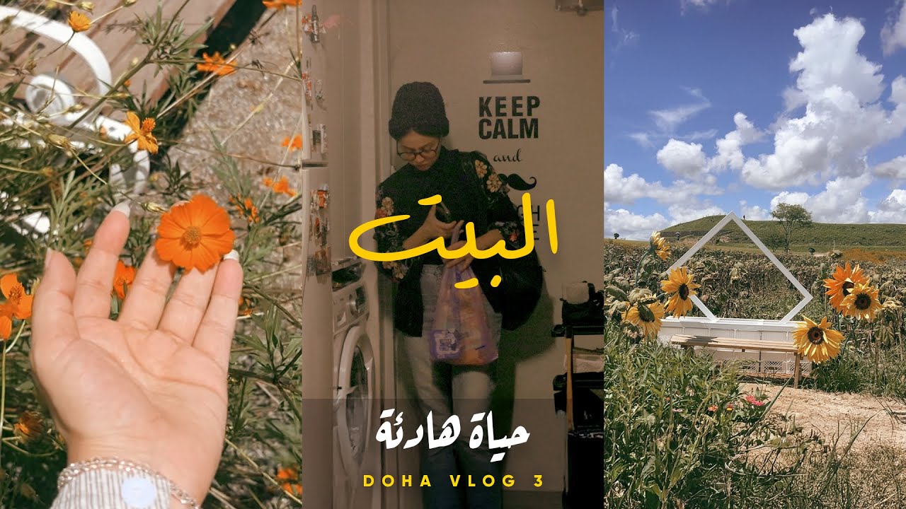 معنى البيت في الغربة 🏠 ازاي تستمتع بحياة هادية لوحدك في كوريا الجنوبية 🇰🇷