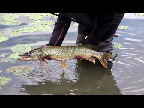 Video: Pike Jezero