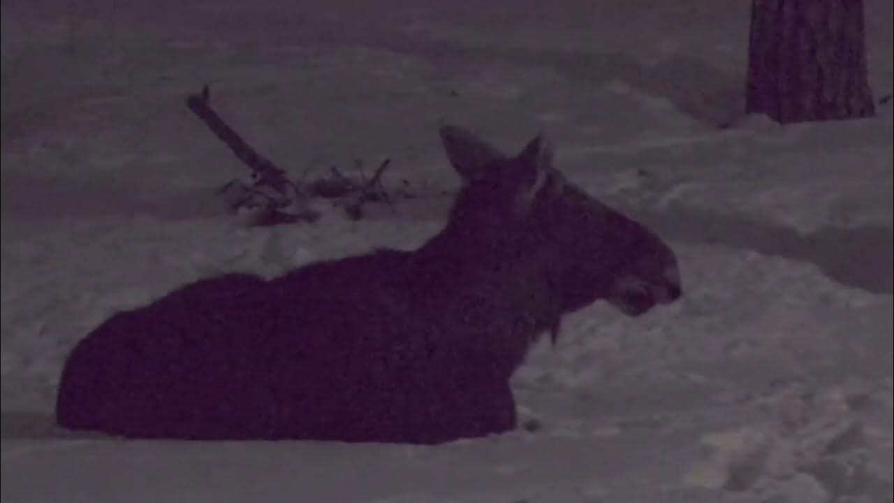 Били 18. Били 18. Макс ферстаппен ф1 2023. Били 18. Макс ферстаппен ф1 2023.