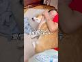 ココちゃんは本当に愛情深い優しいコーギー🥰さすがそっちゃんの彼女犬🐕 #コーギー #コーギー多頭飼い #cute #犬と子供 #ココちゃんファミリー #犬のいる生活