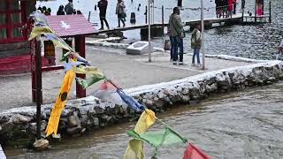 SHUNGETSAR  A DSC 3221