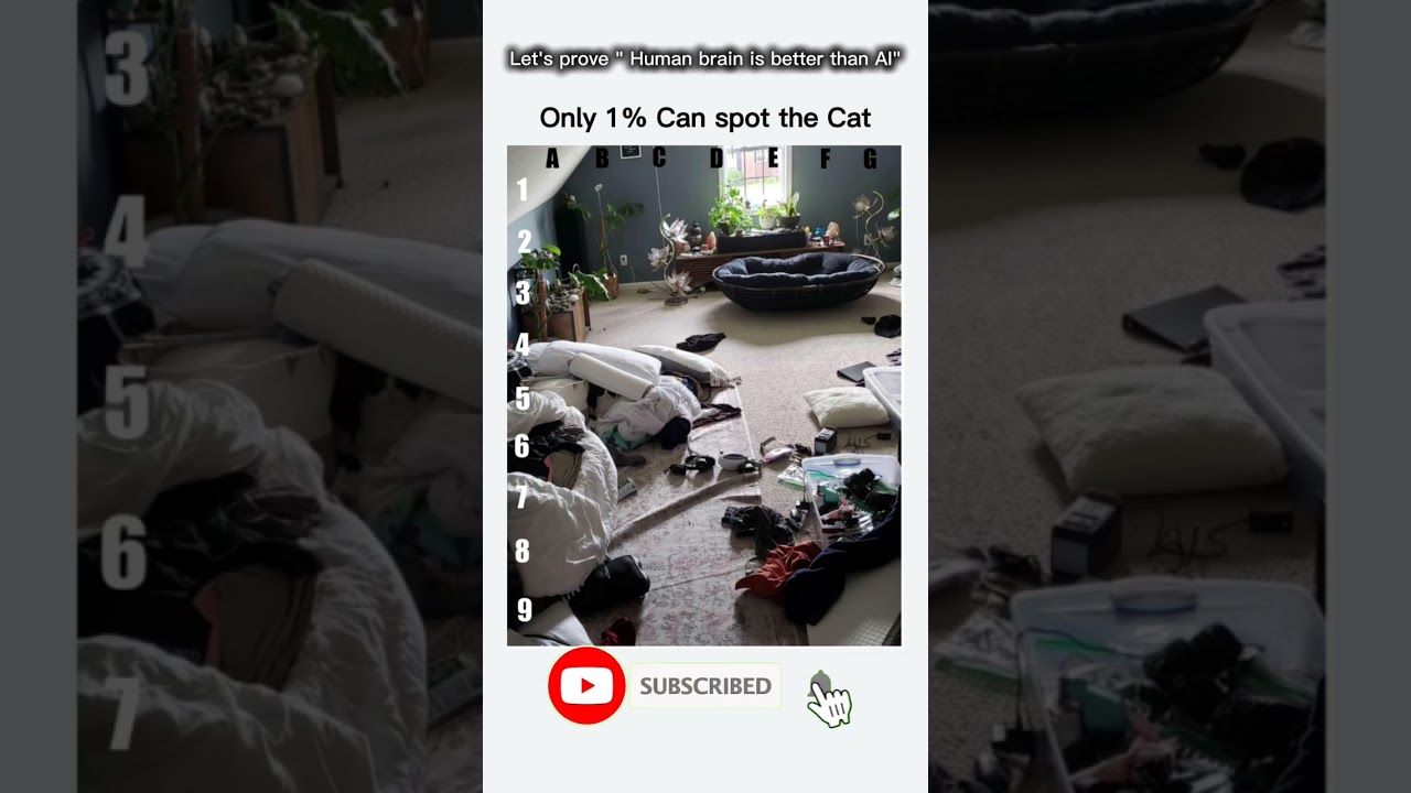 Follow if you spotted the Cat 