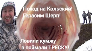 Рыбалка на Кольском! Fishing in Russia! Ловили кумжу,  поймали треску :)(Обязательно подписывайтесь на канал 