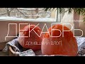 Домашний влог | Ватрушки с заварным кремом | Макраме | Наряжаем ёлку | slow life |