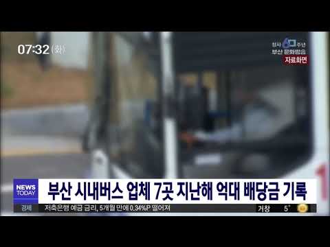 부산 시내버스 업체 7곳 지난해 억대 배당 기록 부산MBC20190521