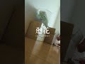 #廻花