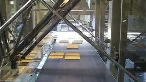 Automatic 2 heads robot hand pick up sorting feeding machine robot hand feeding system