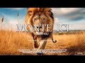 MONTE ICI, EYAYA/ PROPHETIC WORSHIP INSTRUMENTAL / DANIEL BANAM / MEDITATION MUSIC