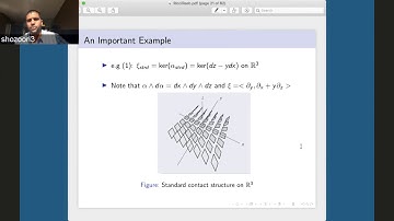 Ricci Curvature and Contact Topology in Dim 3 - Surena Hozoori (2020VWRS-In Honor of Misha Gromov)