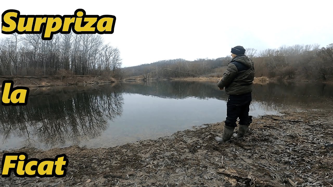 Am Pescuit Iarna pe Prut in Cautarea Cleanului dar am prins Biban.