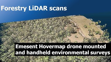 Forestry LiDAR scan with drone mounted and handheld Hovermap