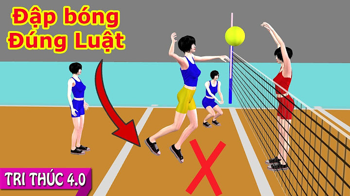 Tri Thức 4.0 | Luật Bóng Chuyền Hơi - Đánh Bóng Tấn Công Đúng Luật - Đập Bóng Trong Và Ngoài 2 mét
