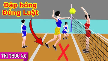 Tri Thức 4.0 | Luật Bóng Chuyền Hơi - Đánh Bóng Tấn Công Đúng Luật - Đập Bóng Trong Và Ngoài 2 mét