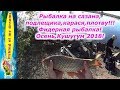 Рыбалка на сазана,подлещика,карася,плотву осенью!Фидерная рыбалка!Кушугум 2018!!!