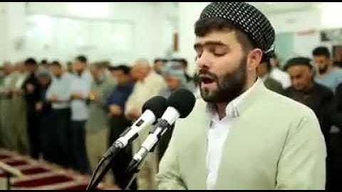 تلاوة رائعة  - قادر الكردي