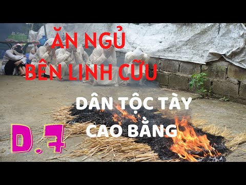 Video D7 NGHI LỄ TANG MA CỦA NGƯỜI TÀY Ở XÃ HẠNH PHÚC, HUYỆN... - youtube