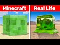 Minecraft ITEMS in Real Life (items, blocks, animals)