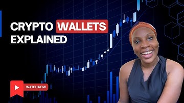 Crypto Wallets Explained: Hot vs Cold Wallets (Beginner Friendly)