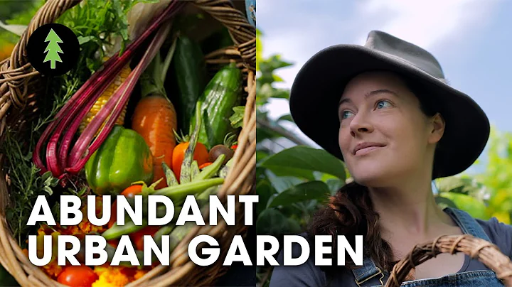 Inspiring Woman Growing a Huge Amount of Food in Her City Permaculture Garden - DayDayNews