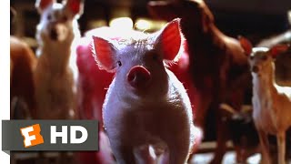 Babe: Pig in the City (1998) - Babe Saves the Dog Scene (4/10) | Movieclips