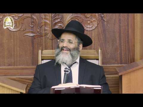 עץ הדעת- טוב ורע ועץ החיים- רק טוב, יסודות גדולים בבניין האדם והחיים - הרה"ג הרב ישראל אברג'ל שליט"א