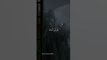 { قل إني أخاف إن عصيت ربي عذاب يوم عظيم } سورة الزمر 🩵