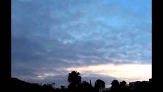 bugseed. — concord love